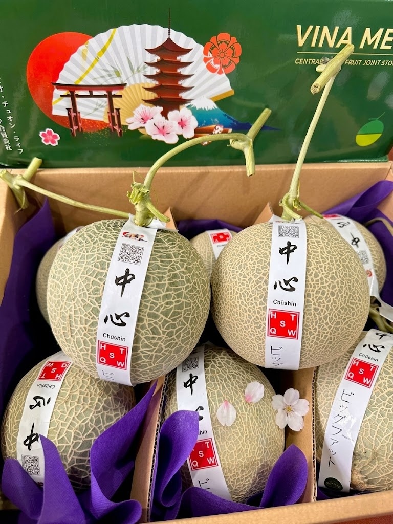 Dưa Lưới Chūshin Thượng Hạng (Vina Me)